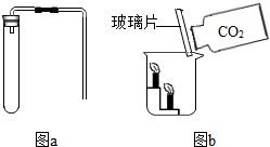 基础化学原料制造 二氧化碳的制取与性质实验设计与实践